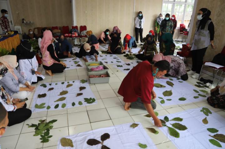 32 Pelaku Usaha Kerajinan, Diberi Wawasan Oleh Dekranasda Lambar
